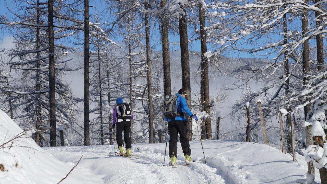 Alpensportlodge アルテンマルクト・イム・ポンガウ エクステリア 写真