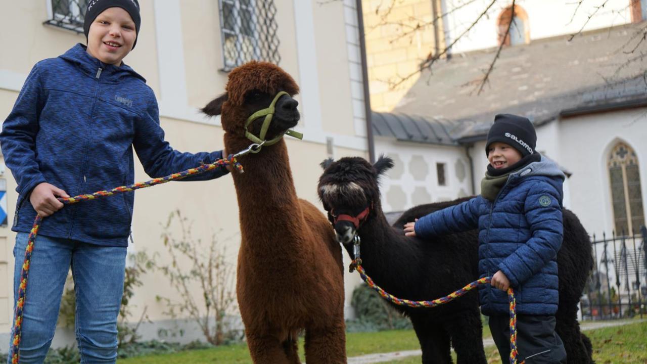 Alpensportlodge アルテンマルクト・イム・ポンガウ エクステリア 写真